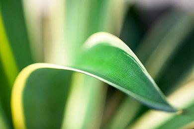 完全中文化！NS《蜡笔小新我与博士的暑假》中文版将于5月正式推出